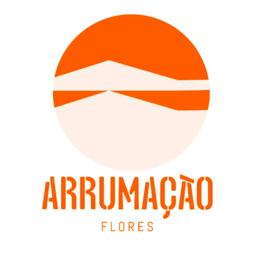 missbrito--img-arrumação